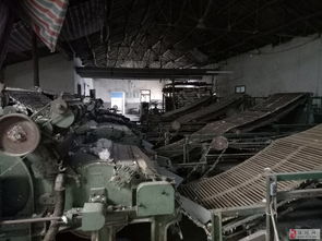 棉絮加工厂整体租赁方案 厂房与机械设备一站式解决方案