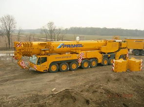 巨无霸的舞台 全球最大汽车与机械设备租赁市场巡礼